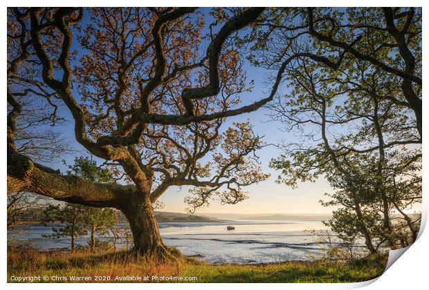 Tranquil river view in Pembrokeshire Print by Chris Warren