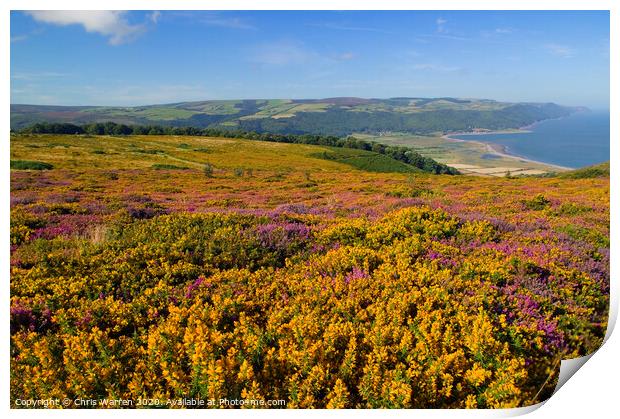 Heather on Exmoor Print by Chris Warren