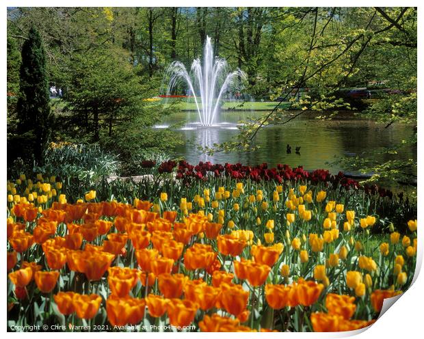 Springtime and tulips at Keukenhof Holland Print by Chris Warren