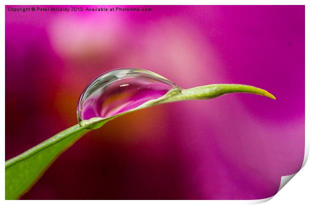 Water droplet ! Print by Peter Mclardy