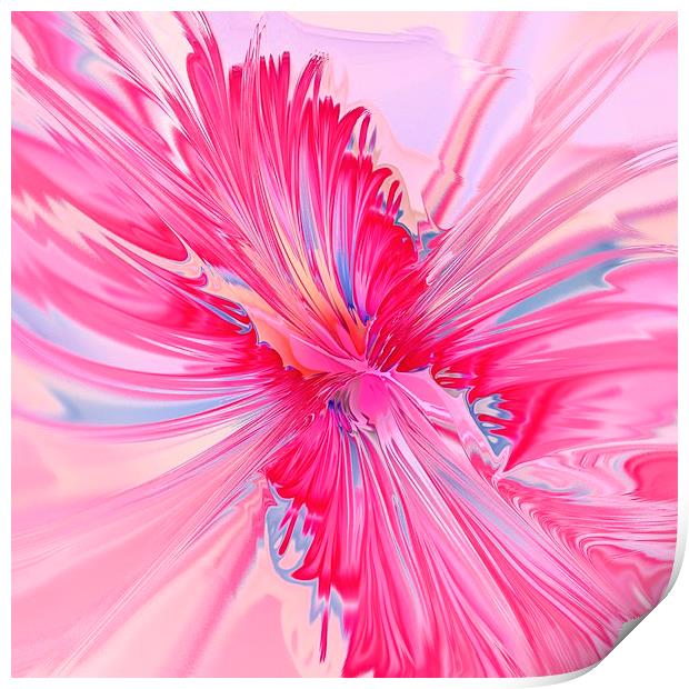 Carnation Pink Print by Anastasiya Malakhova