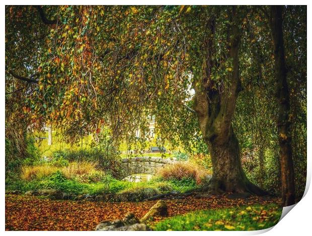 Park in Autumn  Print by Victor Burnside