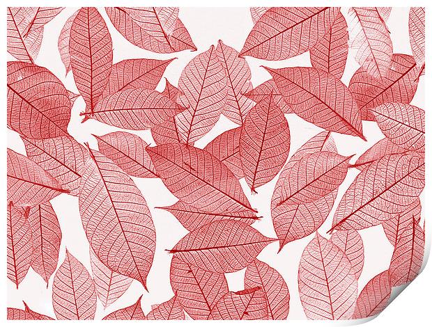 Leaves Print by Victor Burnside