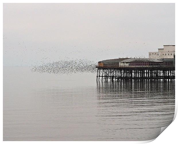 Murmuration Print by Victor Burnside