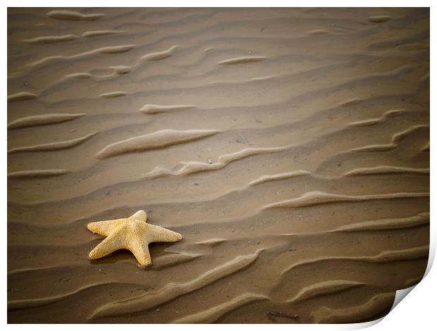 Starfish  Print by Victor Burnside