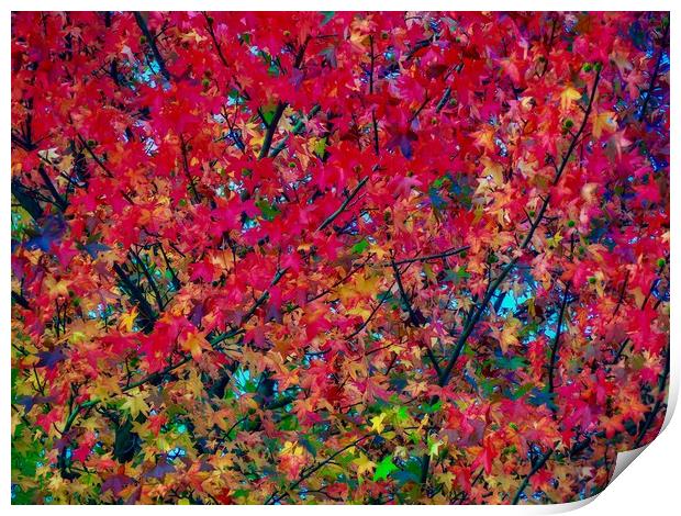 Autumn Leaves   Print by Victor Burnside