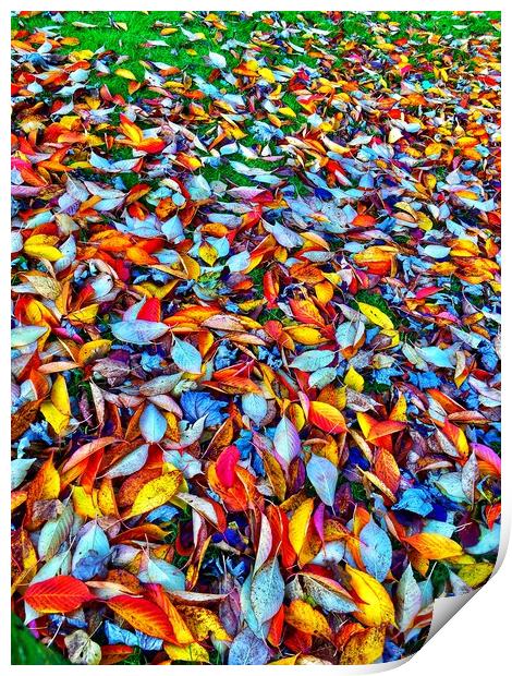 Cherry Tree Leaves Print by Victor Burnside