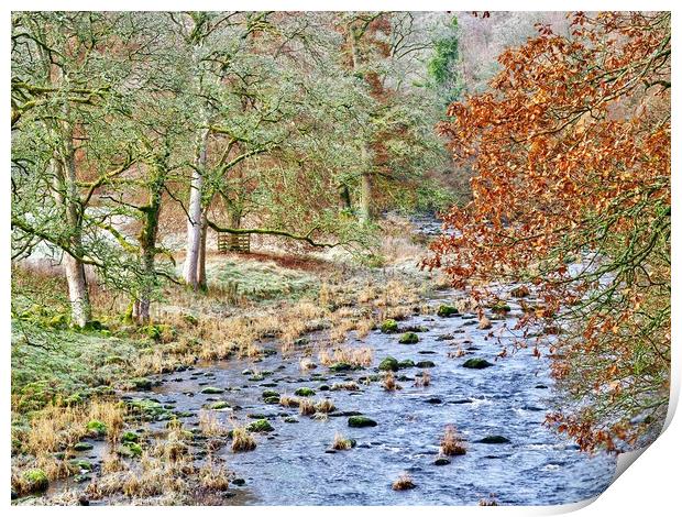 English Woodland in Autumn   Print by Victor Burnside