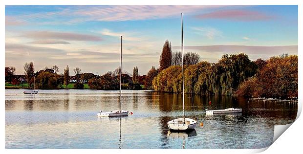 Danson Park, Bexleyheath, Boating Lake Print by Robert Cane
