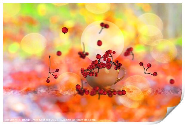 Rowanberries with Colorful Background Print by Randi Grace Nilsberg