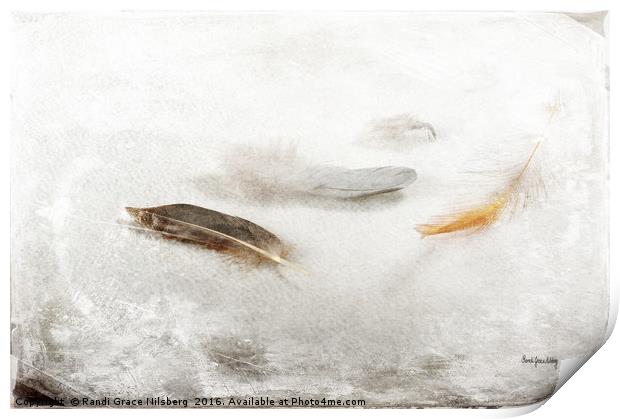 Resting Feathers Print by Randi Grace Nilsberg