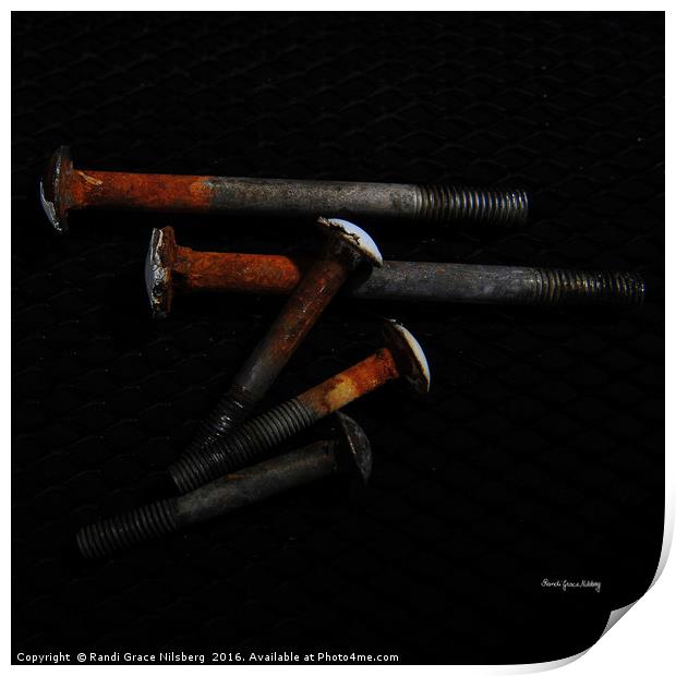 Rusty Bolts Print by Randi Grace Nilsberg