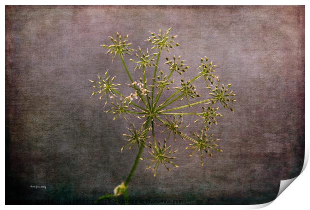 Starry Flower Print by Randi Grace Nilsberg