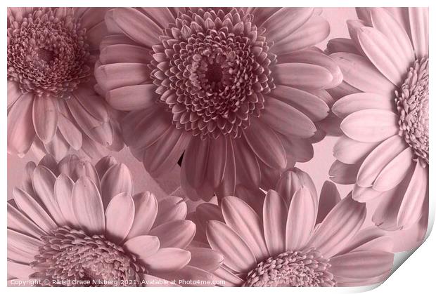 Blooming Closely Print by Randi Grace Nilsberg