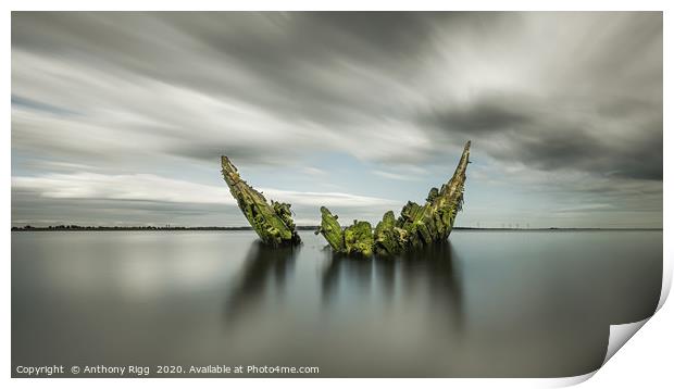 Old Wreck Print by Anthony Rigg
