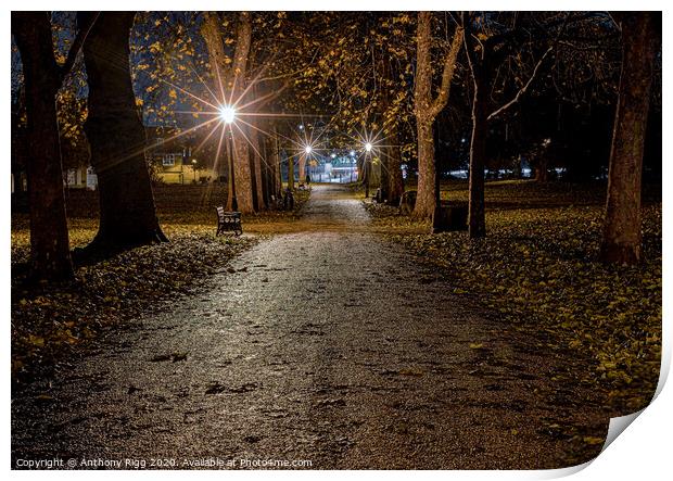 After Dark in the Park Print by Anthony Rigg