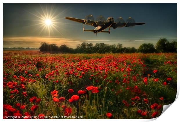 Avro Lancaster over Poppy Fields  Print by Anthony Rigg