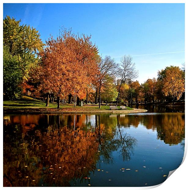 Reflection in the Park Print by Michael Wood