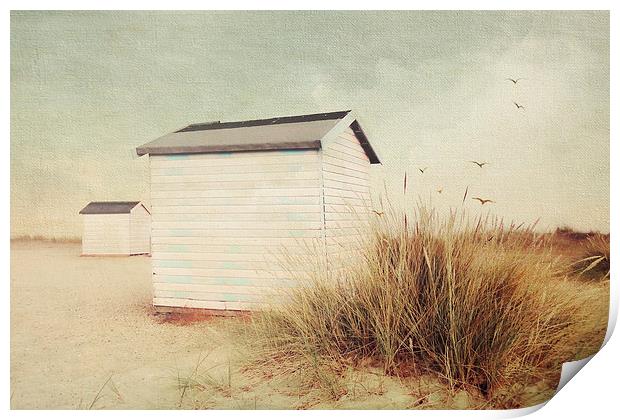 Yarmouth Beach Huts Print by Lesley Mohamad