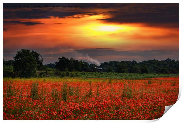 Sunrise Poppy Field And Steam Locomotive Print by rawshutterbug 