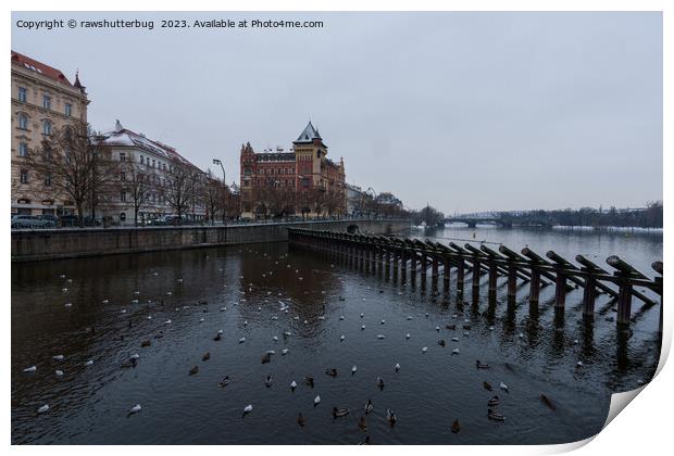 Prague wooden barrier on Vltava river Print by rawshutterbug 