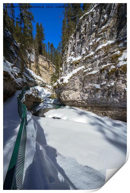 Snowy Johnston Creek (Alberta) Print by rawshutterbug 