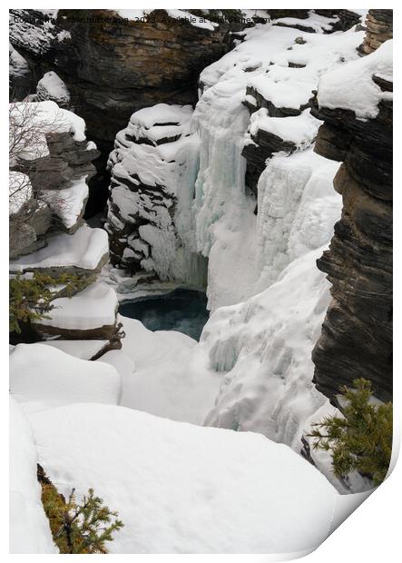 Frozen Athabasca Falls Print by rawshutterbug 