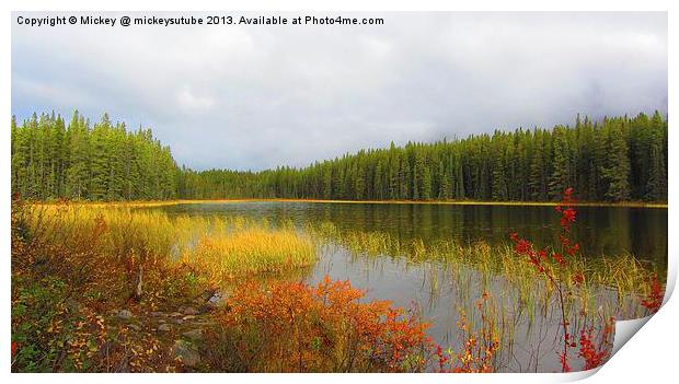 Autumn Colours Of Buck Lake Print by rawshutterbug 