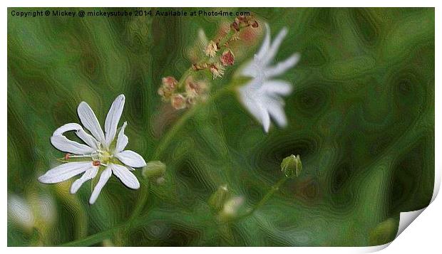 White Lawn Flower Print by rawshutterbug 