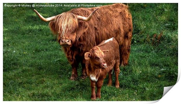 Highland Cow And Calf Print by rawshutterbug 