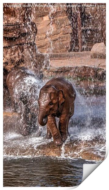 Baby Elephants Joy Print by rawshutterbug 