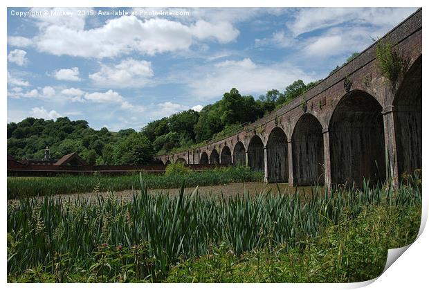 Coalbrookdale Railway Viaduct Print by rawshutterbug 
