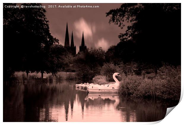 Swan Boats In The Reflection Of Lichfield Cathedra Print by rawshutterbug 