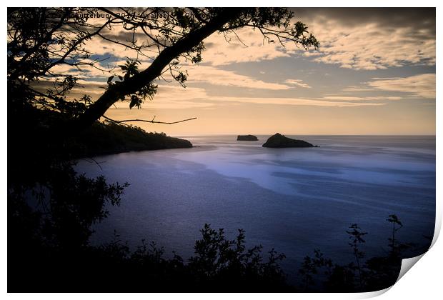 Thatchers Rock and Hope Nose At Sunset Print by rawshutterbug 