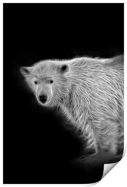 Polar Bear Cub Print by rawshutterbug 