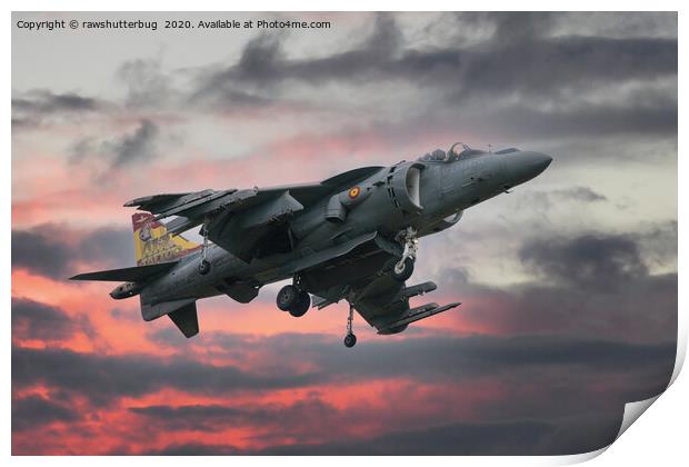 Spanish AV-8B Harrier With Special Tail Print by rawshutterbug 