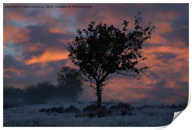 Frosty Sunrise At Chasewater Country Park Print by rawshutterbug 