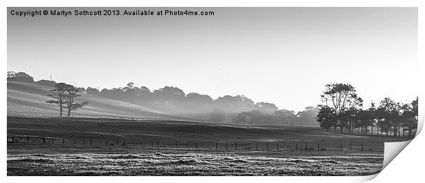 Sunrise across the Meadow Print by Martyn Sothcott