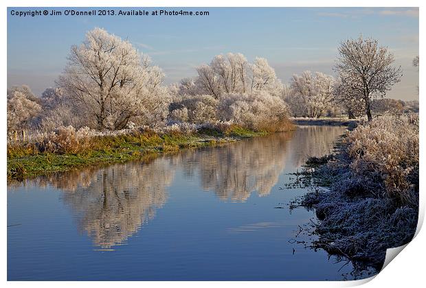 Winter frost 2 Print by Jim O'Donnell