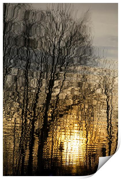 Sunset reflection 2 Print by Jim O'Donnell
