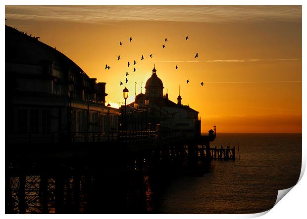  Birds flying over a Eastbourne pier sunrise, East Print by Matthew Silver
