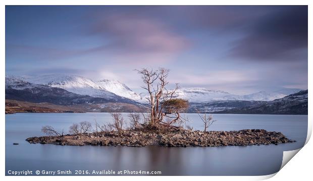 Trees on Loch Assynt. Print by Garry Smith