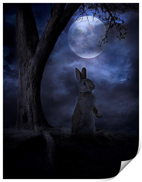Moon Rabbit Print by Martin Maran