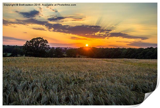  sunset over corn fields Print by Brett watson