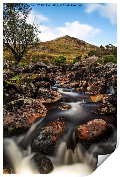 Tavy Cleave Print by Tracey Yeo