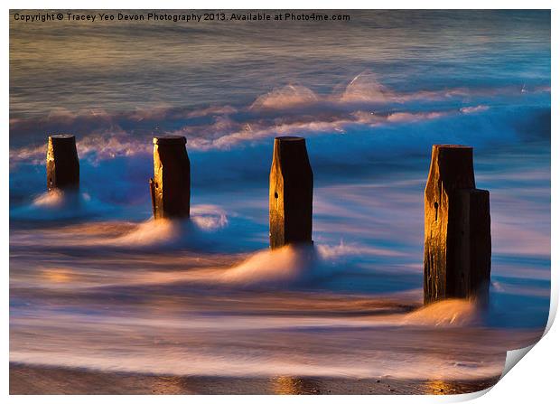 Groynes At Sunrise Print by Tracey Yeo