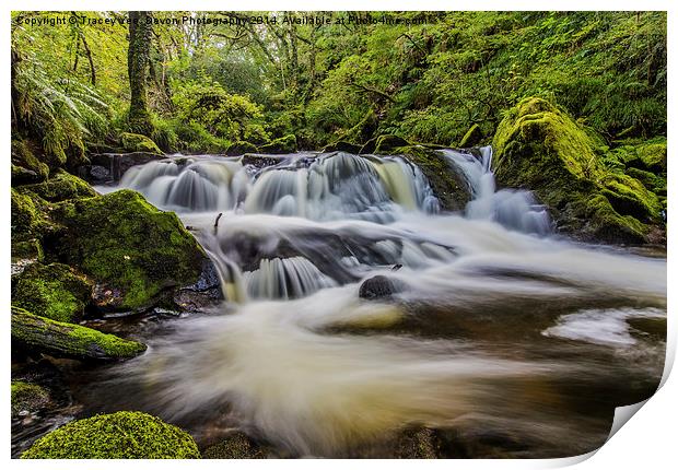 Golitha Falls Print by Tracey Yeo