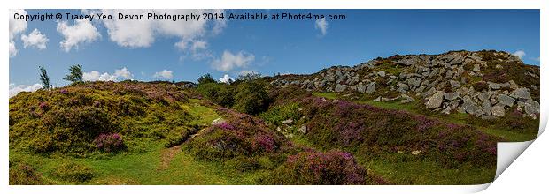 Heather and Granite Print by Tracey Yeo