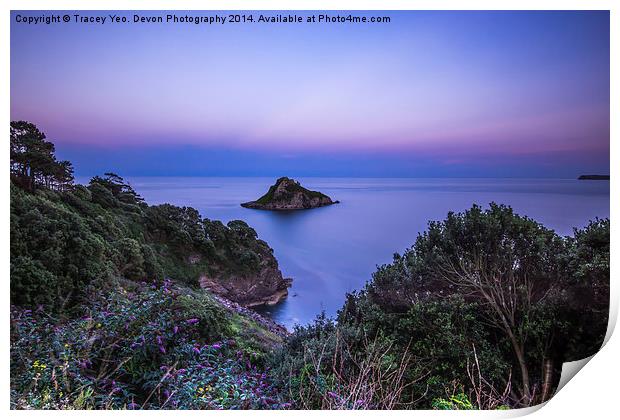  Thatcher Rock at Sunset Print by Tracey Yeo