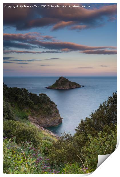 Thatcher Rock at Sunset  Print by Tracey Yeo